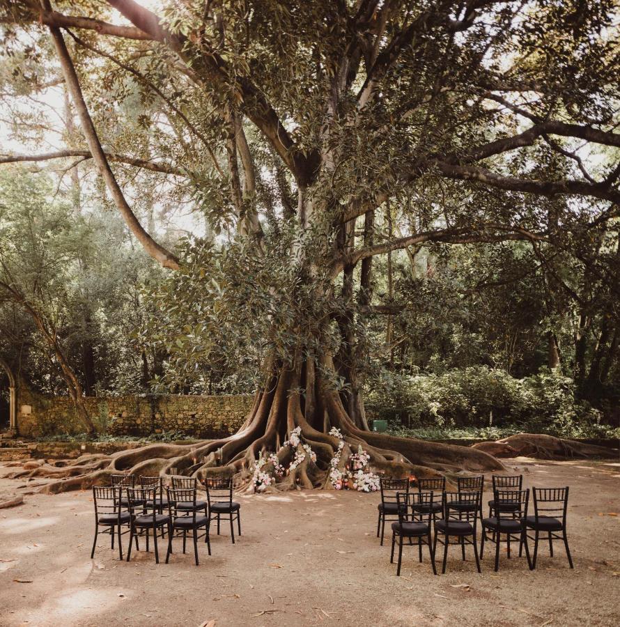 Hotel Quinta Das Lagrimas - Small Luxury Hotels Coimbra Exterior photo The Big Tree at the University of the West Indies, Mona Campus
